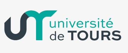 Laboratoire d'Informatique Fondamentale et Appliquée de Tours (LIFAT), Université de Tours François Rabelais