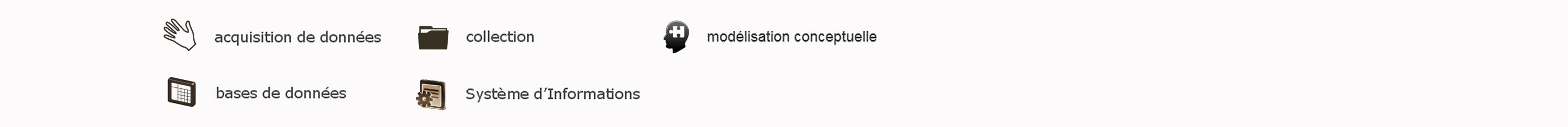 légende: acquisition de données, bases de données, collection, Système d'Informations, modélisation conceptuelle