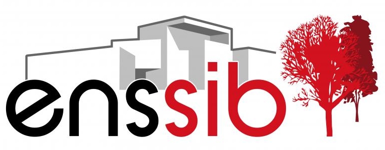 École nationale supérieure des sciences de l'information et des bibliothèques (ENSSIB)