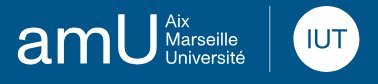 IUT informatique site d’Arles (AMU)