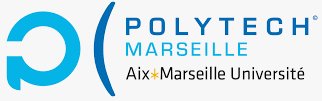 POLYTECH MARSEILLE, Département Informatique
