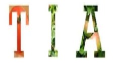 Le groupe TIA (Terminologie et Intelligence Artificielle)