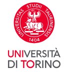 The University of Turin