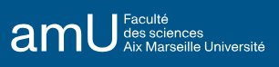 Master Informatique, Parcours : Géométrie et informatique graphique (GIG) - AMU